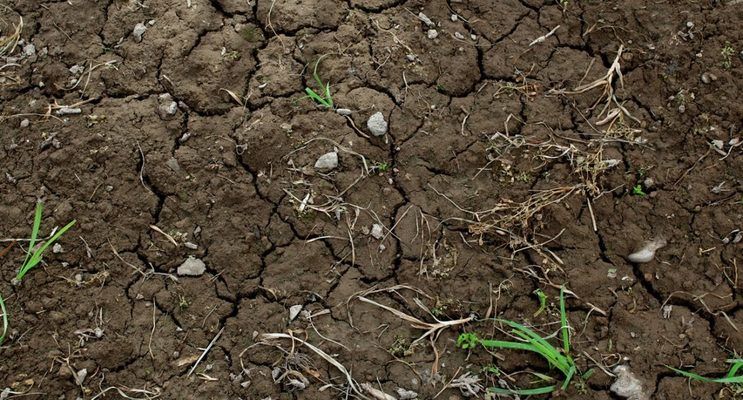 Україна має суттєві збитки через деградацію ґрунтів