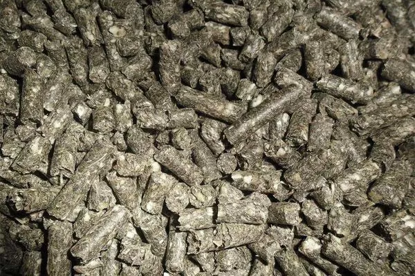 Китай став імпортувати більше українського соняшникового шроту