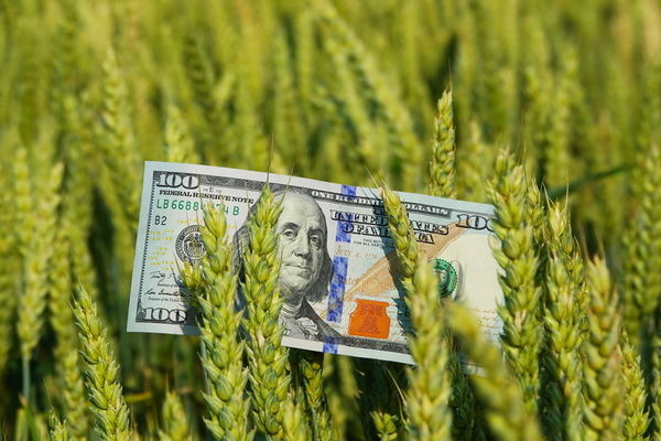 Зменшилися обсяги торгівля сільгосппродукцією між Україною та Євросоюзом
