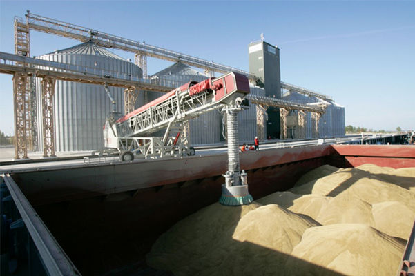 Украинскую пшеницу перенаправят в порт Триполи из-за взрыва в Бейруте