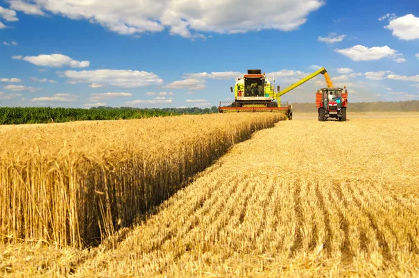Обсяги сільгоспвиробництва в Україні зменшилися
