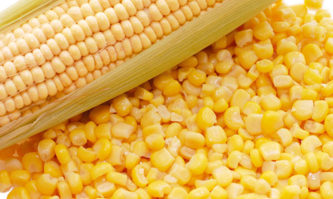Ціни на українську кукурудзу зростатимуть, - прогноз