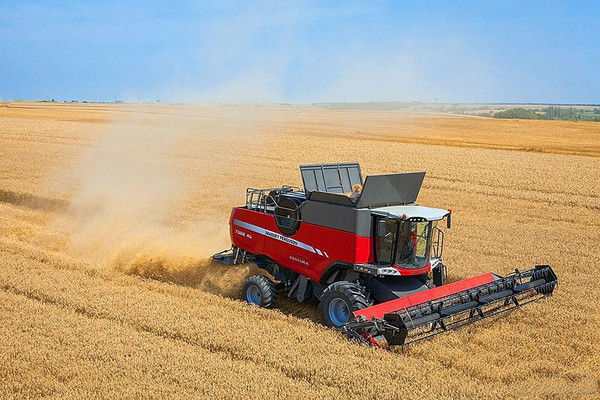 Українських аграріїв обурили прогнози щодо рекордного врожаю зерна