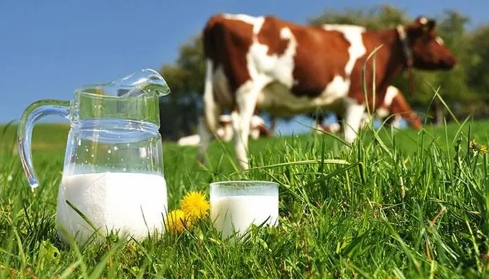 До проєкту сімейних молочних ферм на Вінниччині хочуть долучитися 25 родин