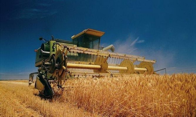 Аграрії вже зібрали 36,7 млн тонн зерна