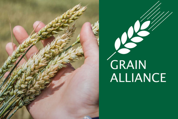 У компанії Grain Alliance розповіли про ефективність програми точного землеробства