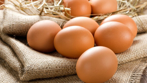 В Україні скоротилося виробництво яєць