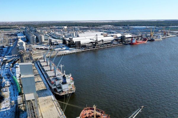 В морских портах Украины сократился экспорт масличных