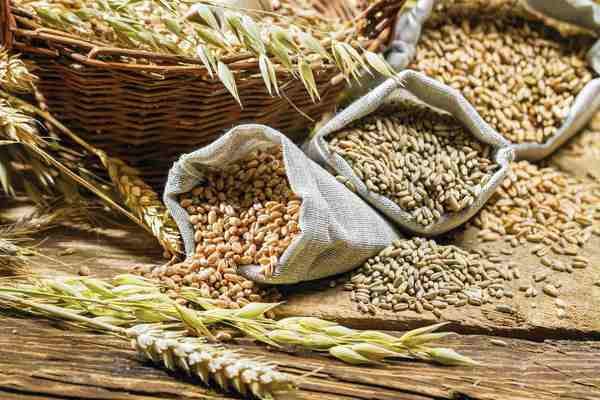 У портах України зросли обсяги відвантаження пшениці на експорт