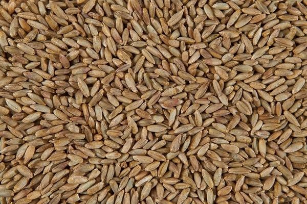 Знизилися закупівельні ціни на гречку та жито