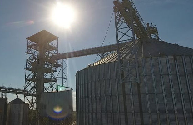 На Нежинском элеваторе Grain Alliance завершили работать  с озимой пшеницей