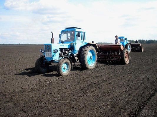 На Прикарпатті вже сіють озимі  культури