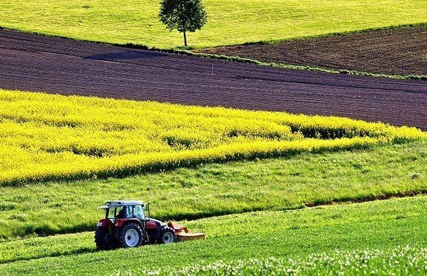 В очікуванні відкриття ринку землі фермери призупинили інвестиції в АПК — експерт