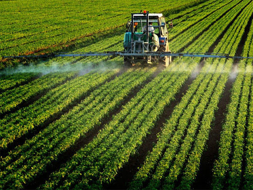 Грибна альтернатива пестицидам – французький експеримент