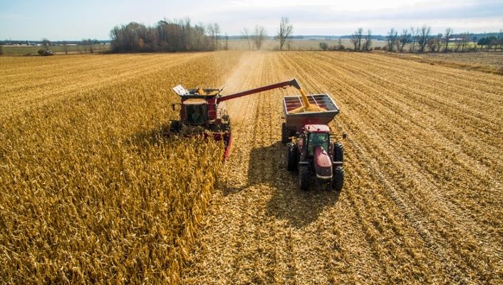 Хроніки українських жнив станом на 17 вересня