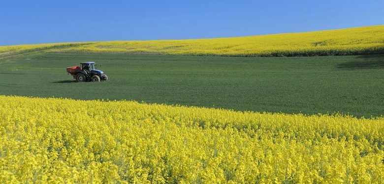 На всей территории Украины климат становится южным