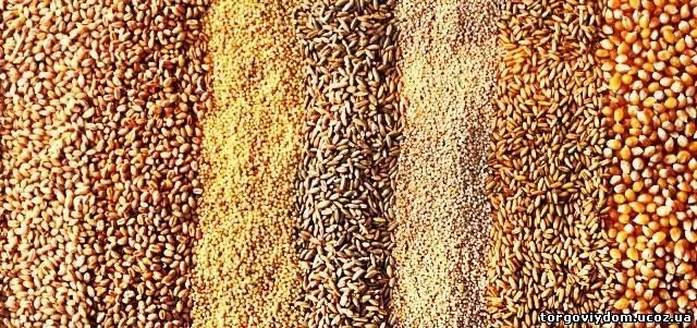 Огляд цін на основні с/г культури станом на 28 вересня