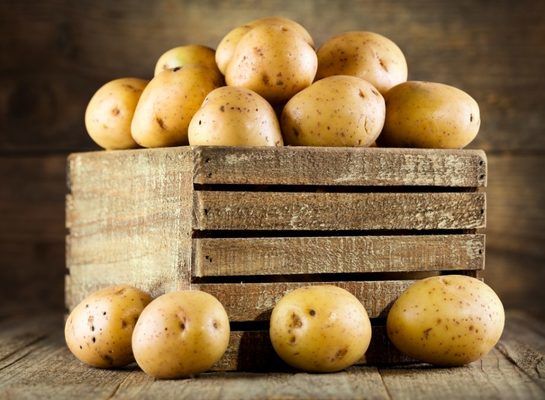 В Україні не вистачає картоплесховищ