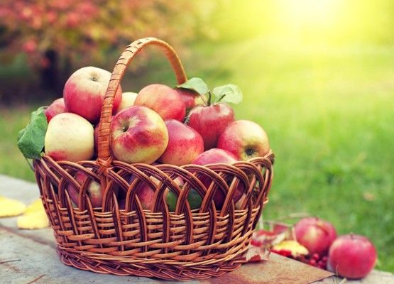Від початку вересня ціни на яблука знизились на 15-20%