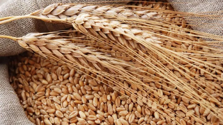 В мелководных портах Украины снизились цены на пшеницу