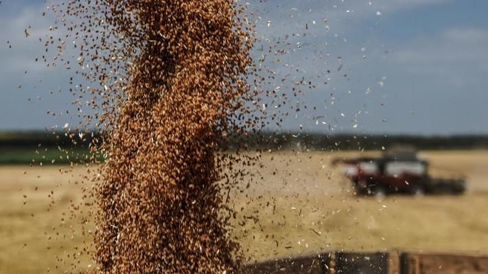 Реестр недобросовестных агрокомпаний не имеет смысла – мнение эксперта