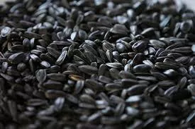 Для виводу українського насіння на європейський ринок необхідно запровадити низку системних заходів — експерт 