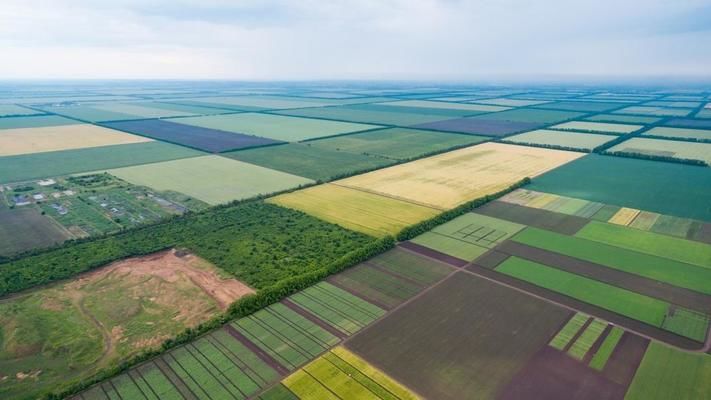 В Україні буде забезпечено законодавче підґрунтя для успішної реалізації земельної реформи — Петрашко