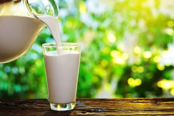 Через відсутність держпідтримки в Україні з’явився тіньовий ринок молочних продуктів