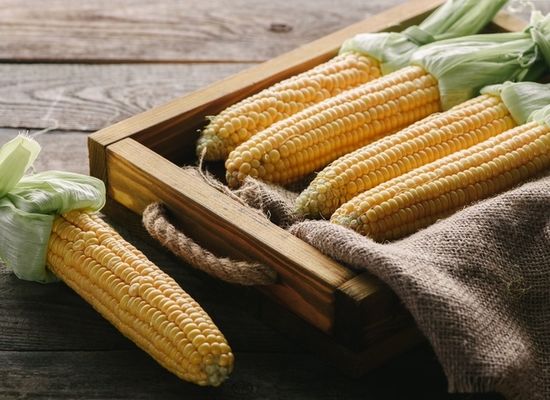 На міжнародному ринку продовжують зміцнюватися ціни на кукурудзу