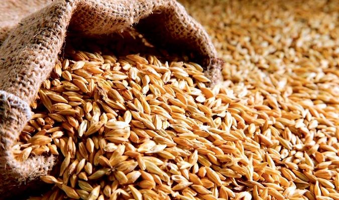 З України експортували вже 15 млн тонн зерна нового врожаю 