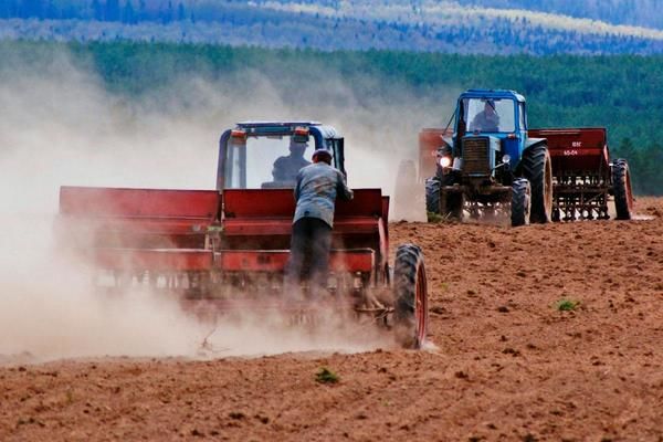 На Хмельниччині озимими культурами засіяно лише 54% площ