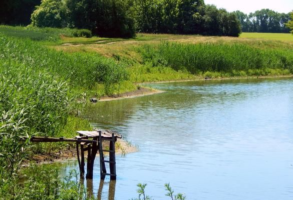 В Україні прийнято закон про оренду водних об’єктів