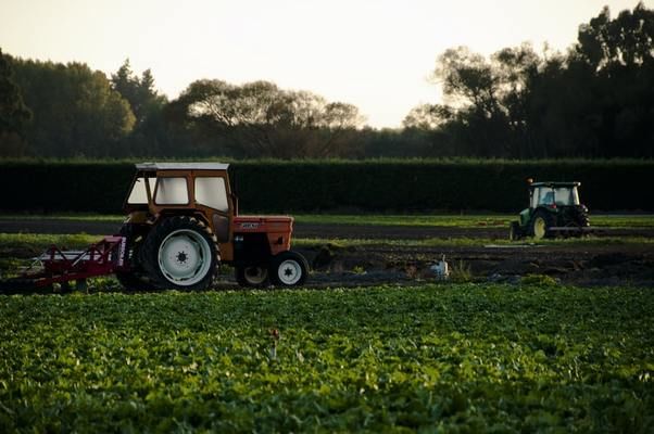 В Україні зросте число отримувачів держпідтримки в аграрному секторі