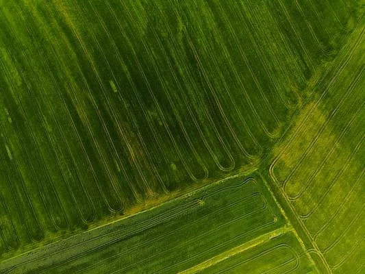 В Україні оприлюднено розмір річної оренди землі с/г призначення