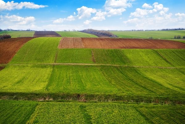 Держгеокадастр виписав 1,1 млн гривень штрафів за порушення земельного законодавства