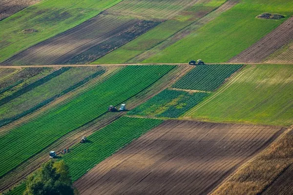 В Україні оприлюднено процедуру передачі с/г земель об’єднаним громадам