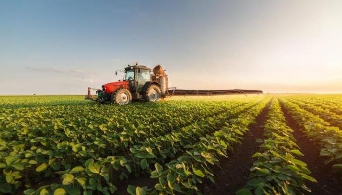 Аграрний комітет підтримав законопроєкт про стимулювання фермерських господарств