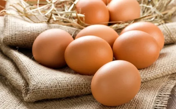 Компанія з США почала виробляти штучні яйця і пропонує замінити ними справжні