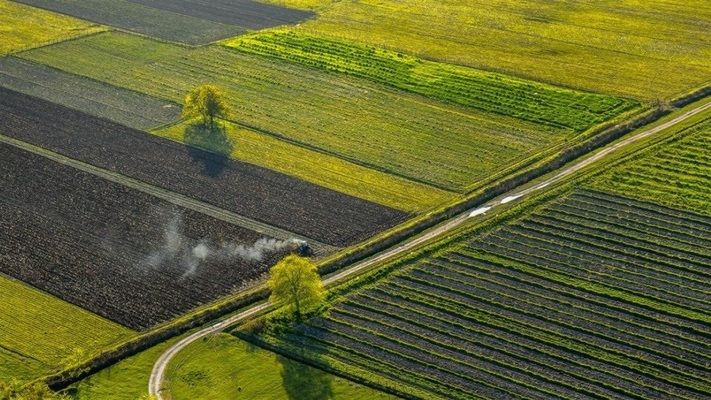 Названо земельні ділянки, які не підлягають оподаткуванню 