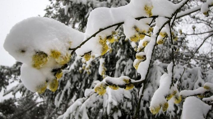 До України йде циклон з дощами та снігом 