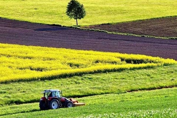 ОТГ мають право підтверджувати фермерам наявність земділянок, які обробляються