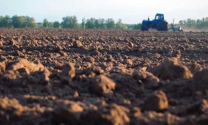 За підтримки ФАО в Україні сформують Стратегію щодо досягнення нейтрального рівня деградації ґрунтів 