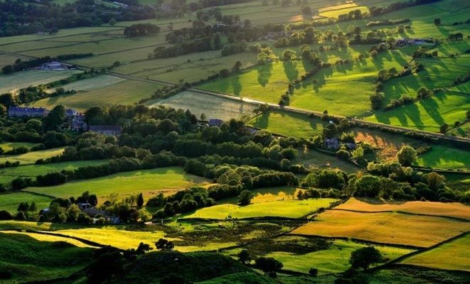 Держгеокадастр в Україні - ліквідують