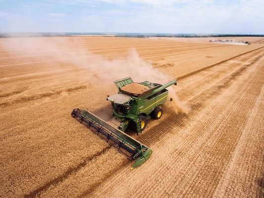 Де в Україні зібрали найбільше врожаю зернових