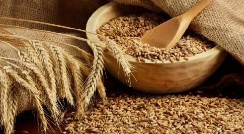 Морські порти України перевалили понад 44 млн т зерна