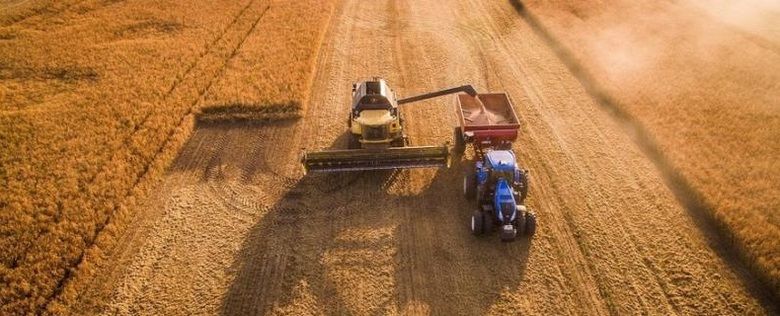 Чернігівщина посідає 4 місце за обсягами валового збору основних культур