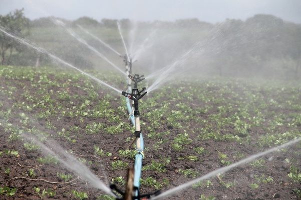 Засуха не за горами: аграрії збільшують площі під зрошенням