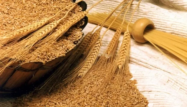 Ціни на зернові та олійні в Україні станом на 16 грудня