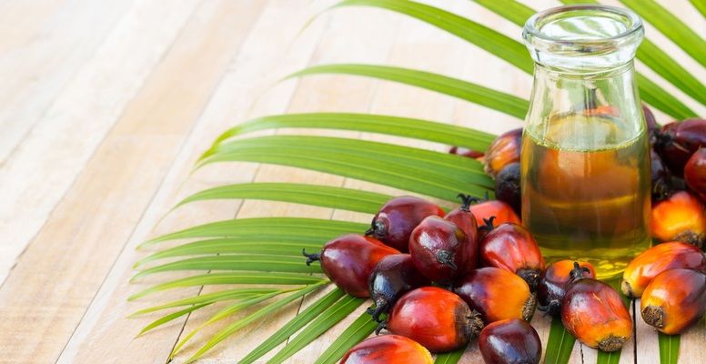 Індонезія буде щомісяця переглядати експортні мита на пальмову олію