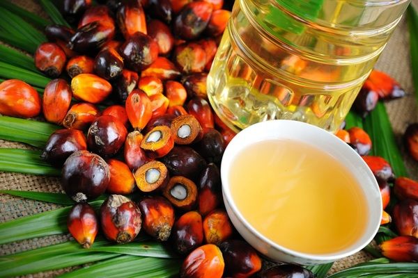 Індонезія підвищить довідкову ціну і експортне мито на пальмову олію